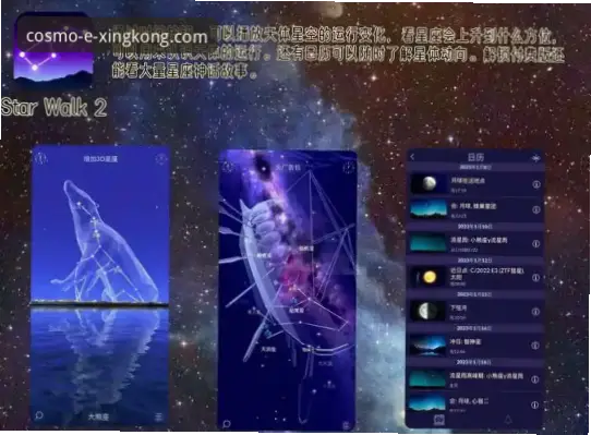 星空娱乐风险与体验全面解析